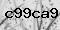 Captcha Text